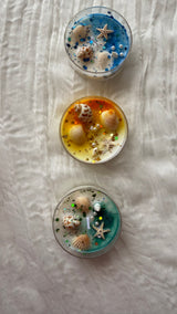 Seashell Candles (random colour)